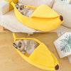 Blissful Banana